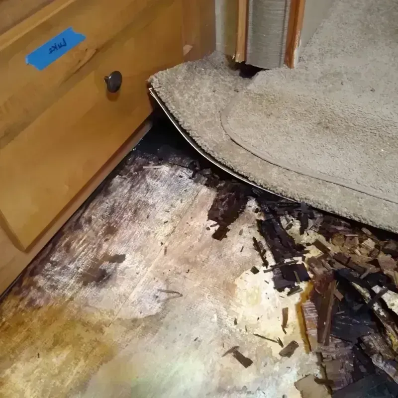 Best Wood Floor Water Damage Service in Newport, DE